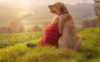 Online-Infoabend über die Ausbildung von Familienhunden zum Assistenzhund