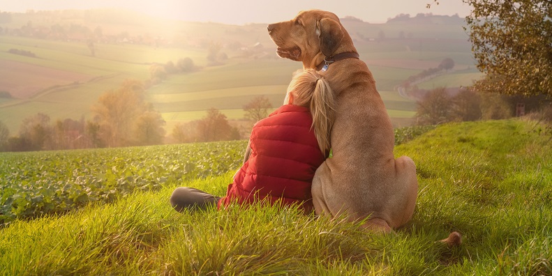 DAAB bietet Ausbildung zum Assistenzhund für Erdnuss-Allergiker