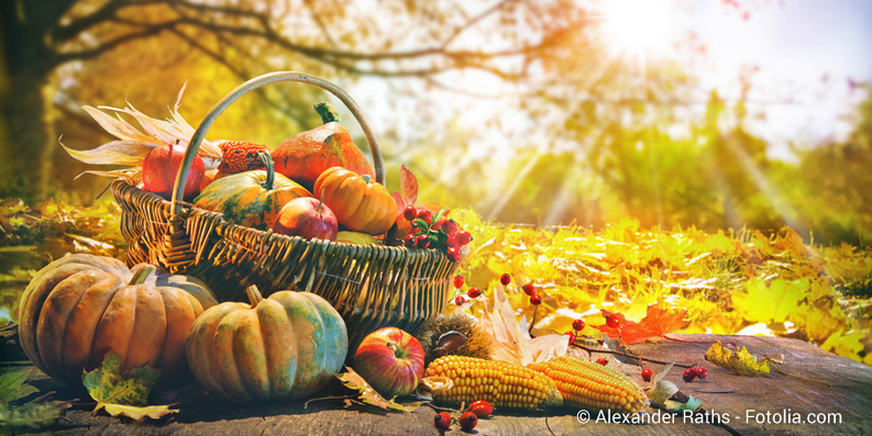 Hallo Halloween – Allergisch auf Kürbisse