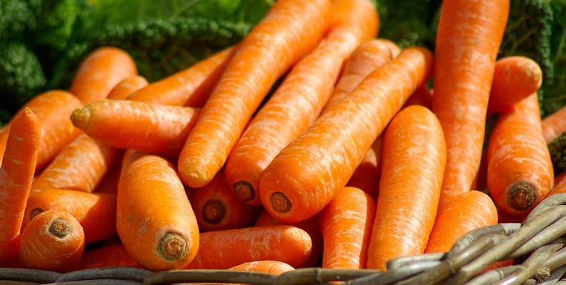 Roh oder gekocht: Karotten als Allergieauslöser