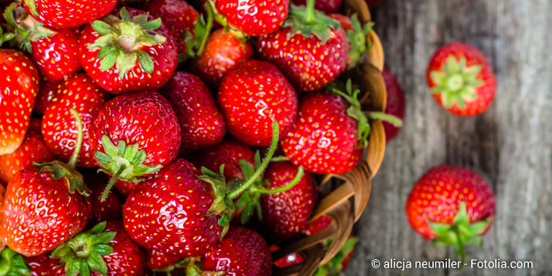 Erdbeeren und Tomaten als Allergieauslöser