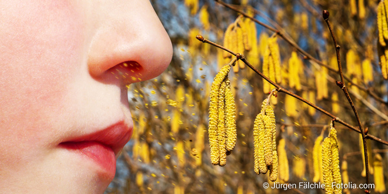 Allergien – so funktioniert der Pollenfrühwarndienst