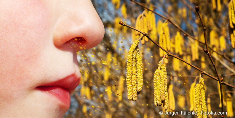 Online-Schulung zu allergischem Asthma