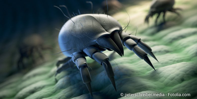 Hausstaub im Schlafzimmer für Allergiker erträglicher machen