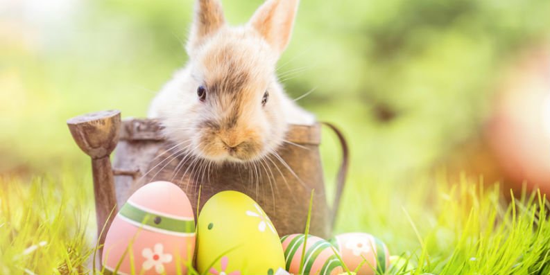 Süßigkeiten zu Ostern für Allergiker