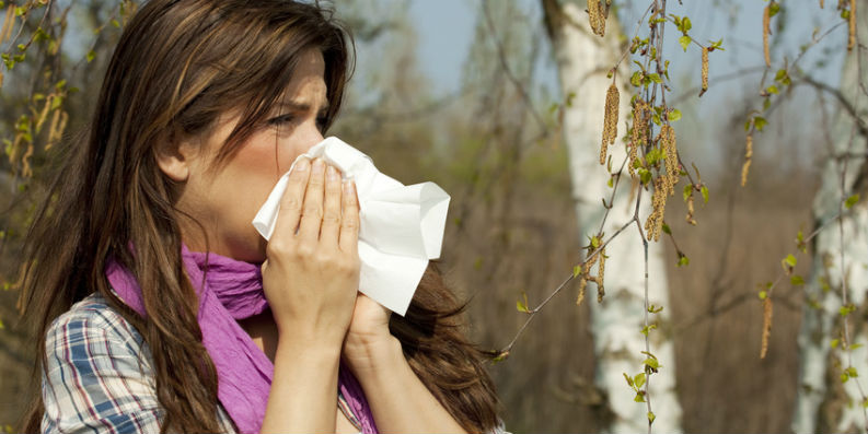 Wissen: Allergische Rhinitis