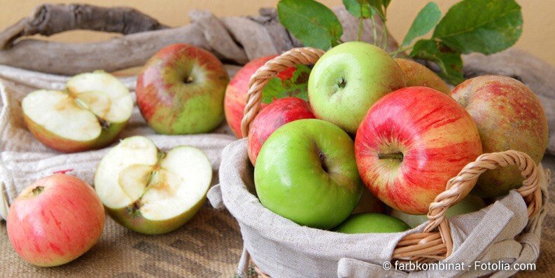 Apfelallergie – es kommt auf die Sorte an